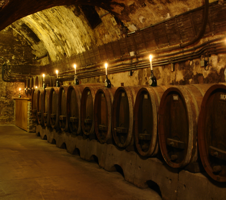 Comment se constituer une cave à vin idéale ? 