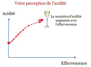 acidite et effervescence champagne