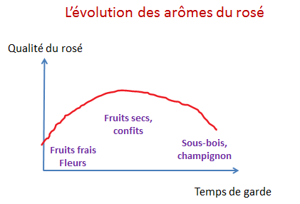 evolution aromes rose