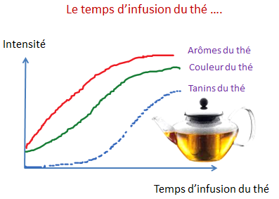 infusion du the et tanins