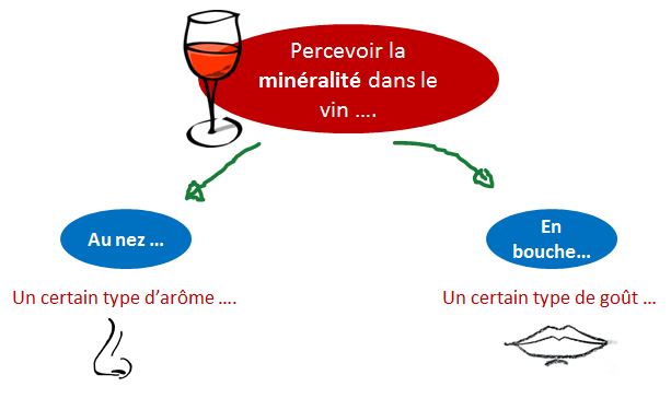 percevoir mineralite vin