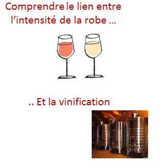 lien robe vinification