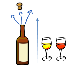 Comment Conserver une Bouteille de Vin Ouverte ? [Guide Complet]