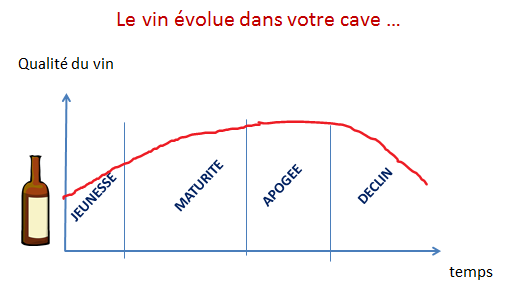 evolution vin cave