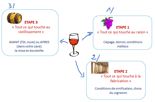 etape elaboration vin