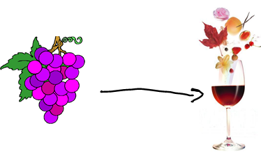 aromes raisin vin
