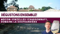 Dégustons ensemble ! Mâcon-Vinzelles (Chardonnay), Domaine de la Soufrandière (Leçon n°146)
