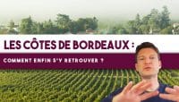 Comment s’y retrouver enfin dans les Côtes de BORDEAUX ? (Leçon n°156)