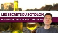 Le Sotolon : Comment décrypter l’arôme de curry, noix… dans le vin ? (Leçon n°157)