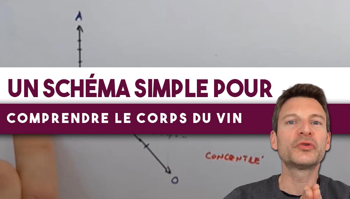 Voilà une manière SIMPLE d’évaluer le CORPS du vin (Leçon n°176)