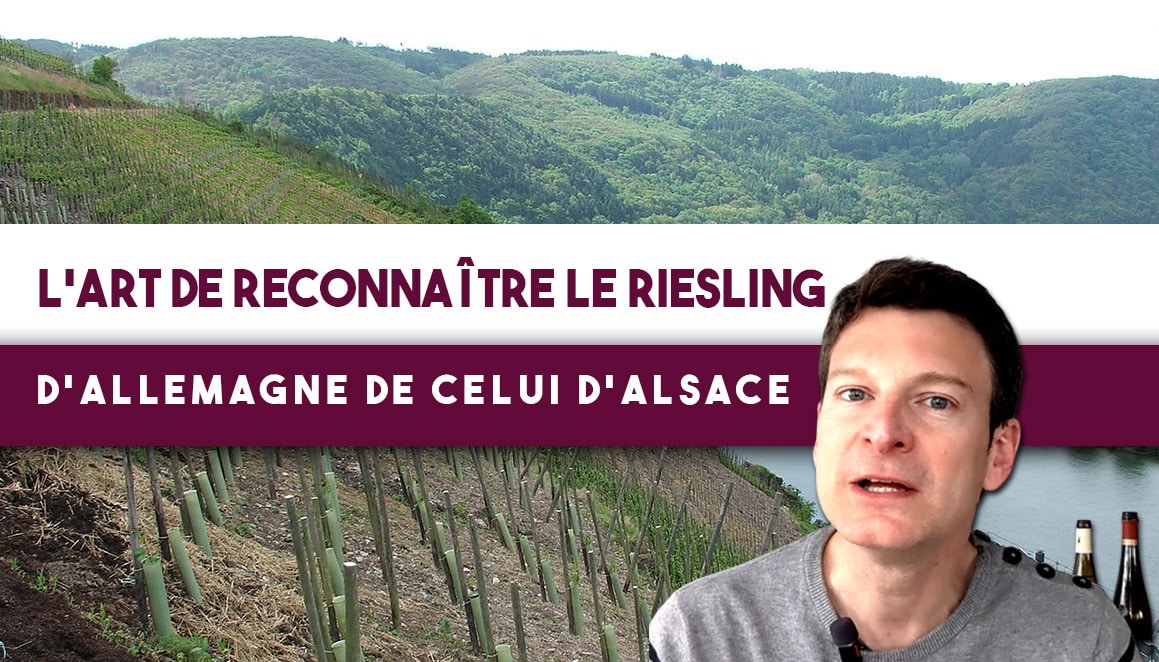 Comment différencier le RIESLING d’Alsace de celui d’Allemagne ? Les clés (leçon n°191)