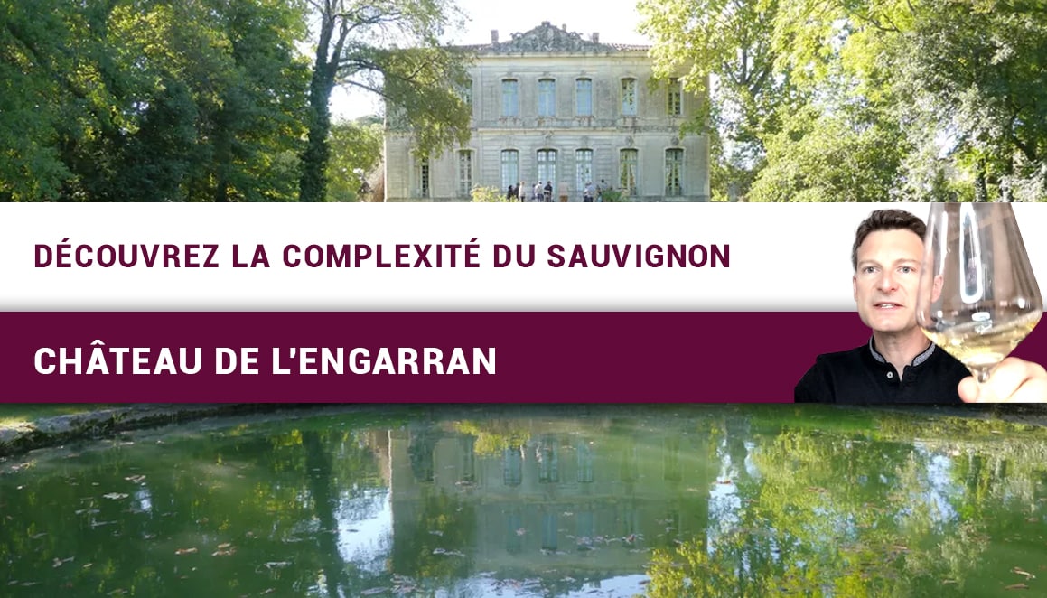 Découvrez la complexité du SAUVIGNON ! (Château de l’Engarran) (Leçon n°199)