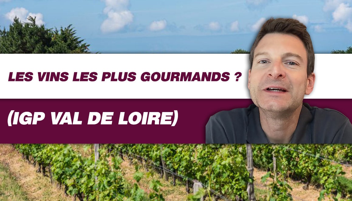 Découvrez les vins les plus gourmands de la Loire (IGP Val de Loire) (Leçon n°202)