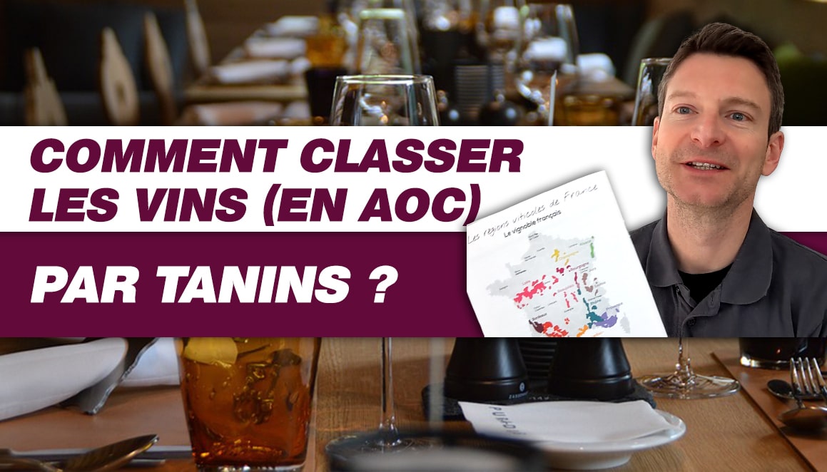 Apprenez à classer les vins (AOC) par TANINS ! (Leçon n°206)