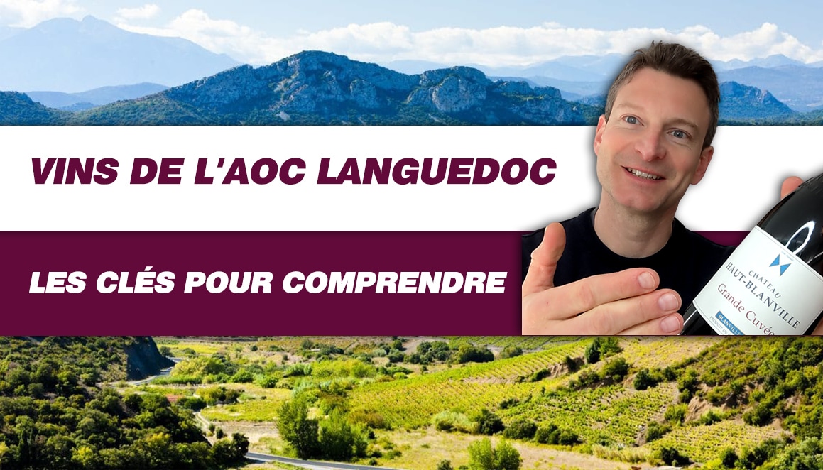Comment enfin s’y retrouver dans les vins de l’AOC Languedoc ? (Leçon n°212)