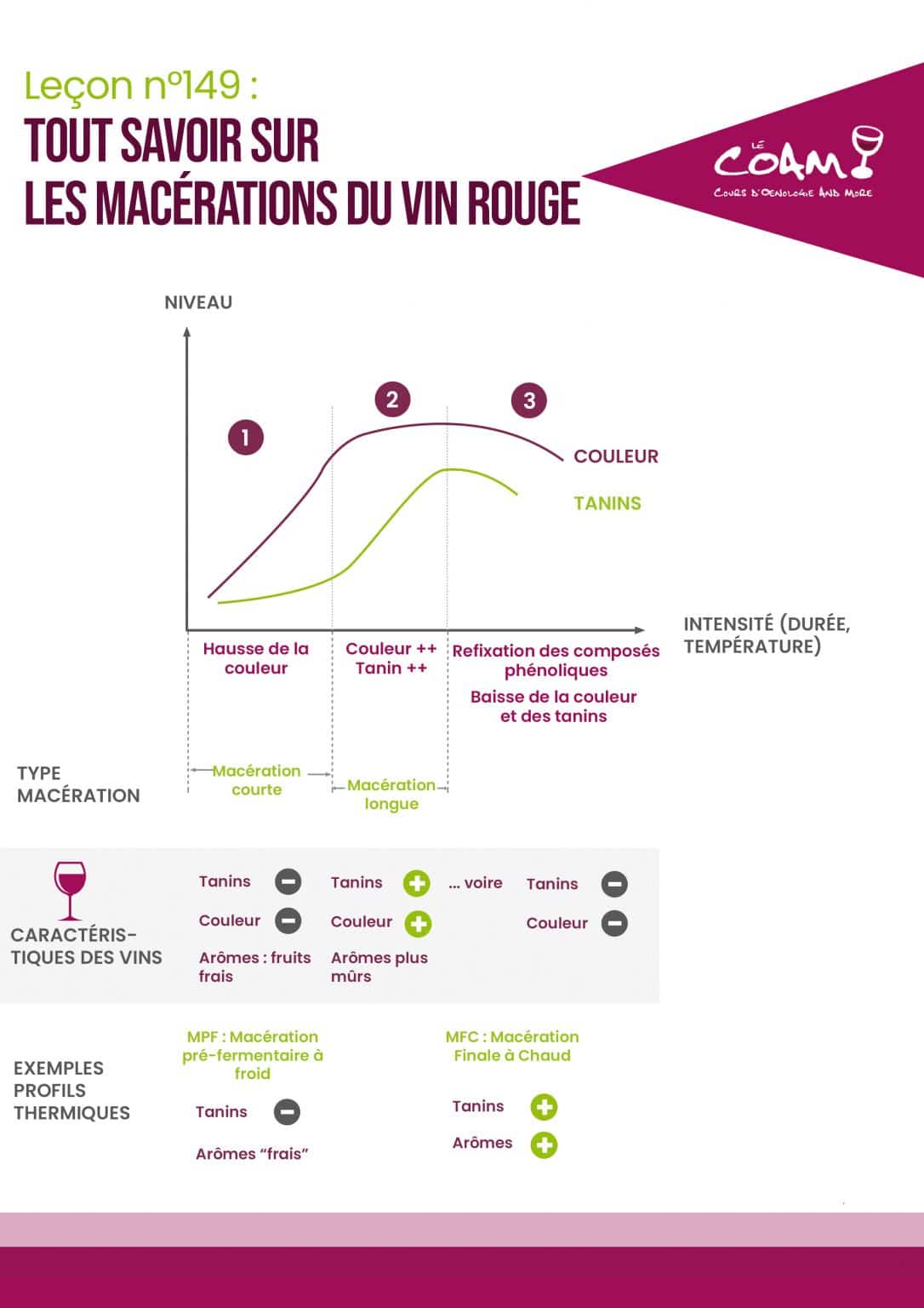 maceration courte ou maceration longue Archives Le Vin Pas a Pas