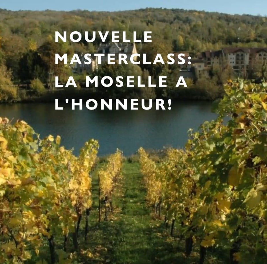 🎓Nouveau : Devenez un expert des Vins de Moselle