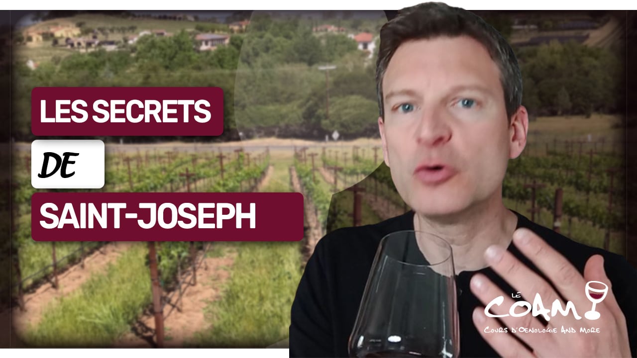 Les petits secrets des vins de Saint-Joseph