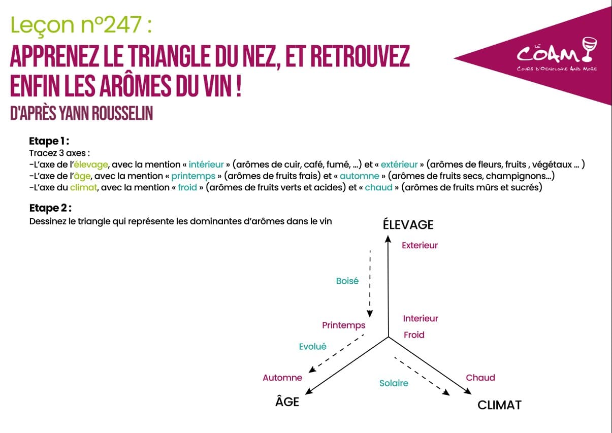 📌Votre schéma : Retrouvez les ARÔMES du vin, avec le triangle du nez👃