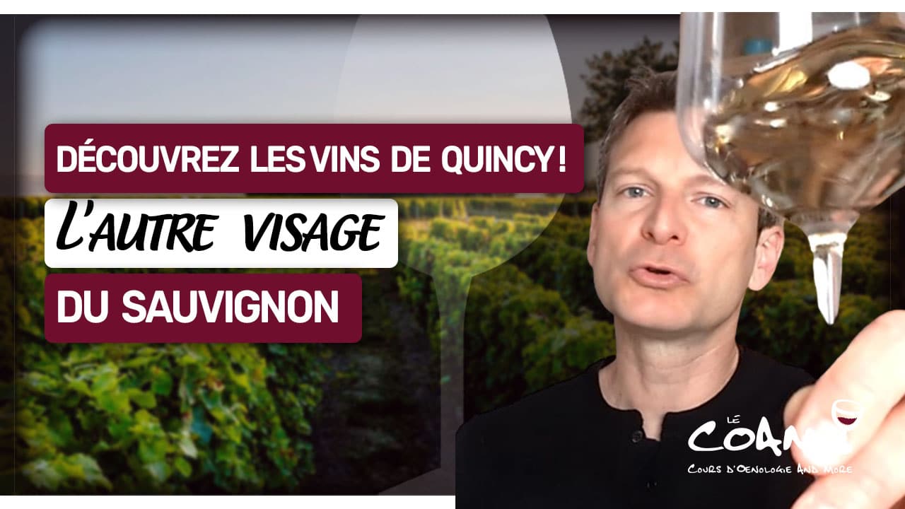 Découvrez les vins de QUINCY, le sauvignon méconnu de la Loire