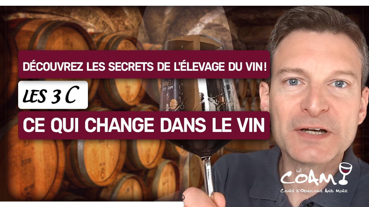 Les 3 C : Découvrez comment l’élevage transforme le vin !