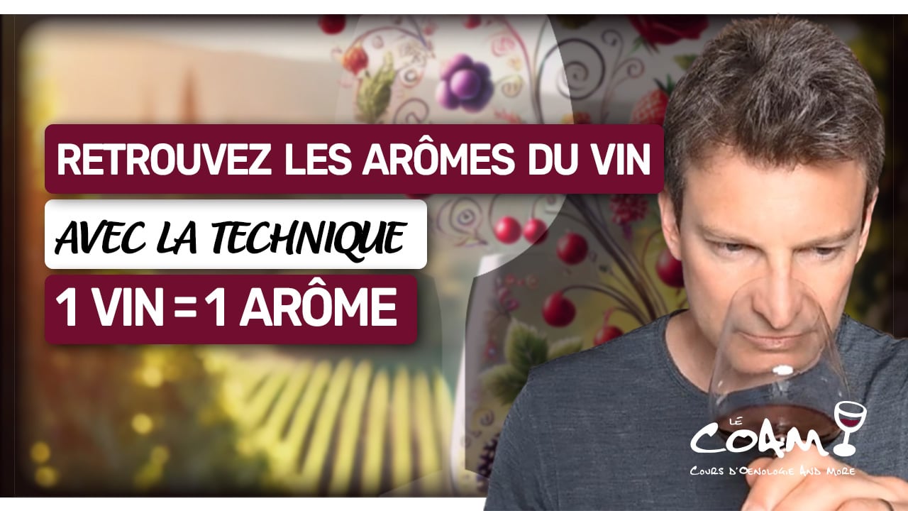 Nouvelle vidéo : La technique « 1 VIN = 1 ARÔME » (Identifiez les arômes du vin)